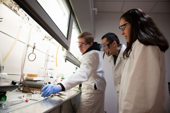 Picture of Responsible and Ethical Conduct of Research (RECR) Certificate - Spring 2026